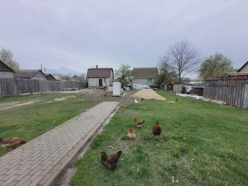 Участок в Брянская область, Навля рп ул. Карла Маркса (10.7 сот.) - Фото 2