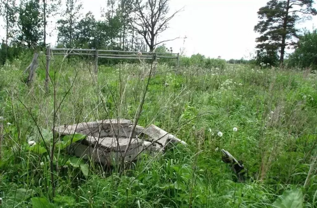 Участок в Псковская область, Пыталовский муниципальный округ, д. ... - Фото 1