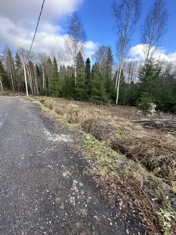 Участок в Московская область, Дмитровский городской округ, Ольшаны кп ... - Фото 1