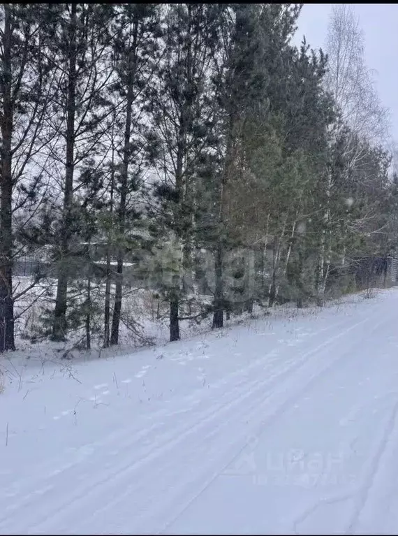 Участок в Красноярский край, Сосновоборский муниципальный округ, д. ... - Фото 2