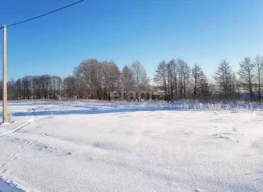 Участок в Свердловская область, Белоярский городской округ, пос. ... - Фото 0