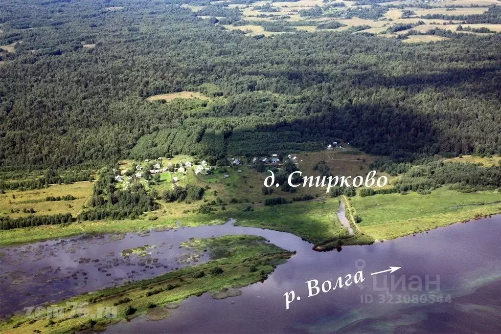 Участок в Ярославская область, Угличский муниципальный округ, д. ... - Фото 1