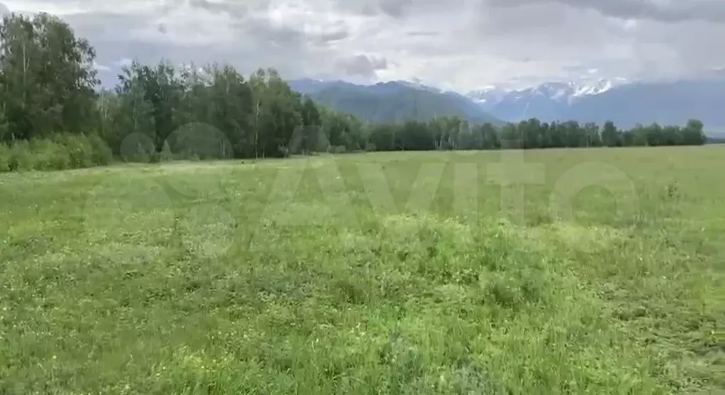 Участок 11 сот. (СНТ, ДНП) - Фото 1