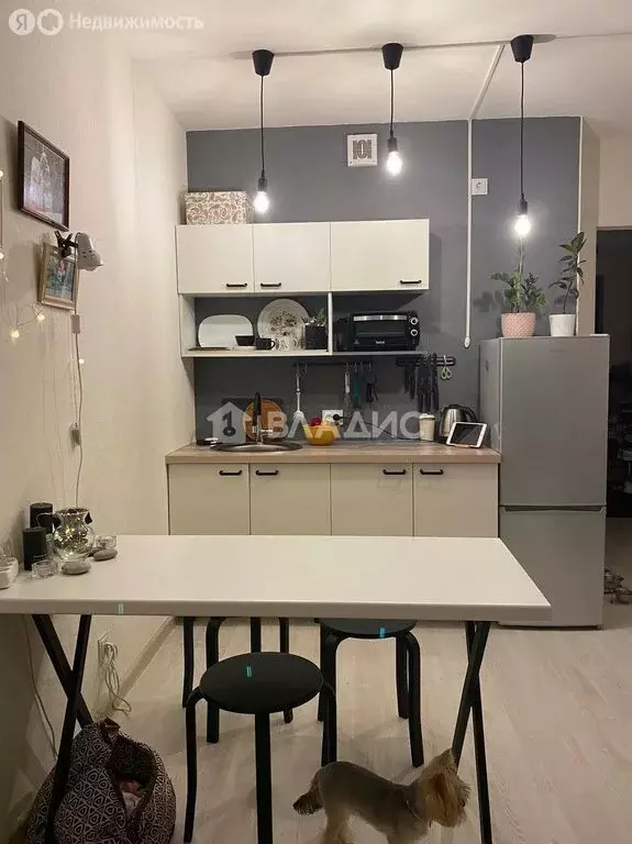 Квартира-студия: Пушкин, улица Архитектора Данини, 15к2 (24.5 м) - Фото 1