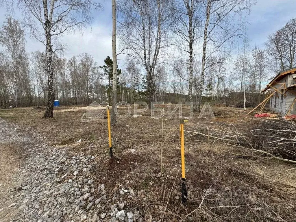 Участок в Тюменская область, Тюменский муниципальный округ, с. ... - Фото 2