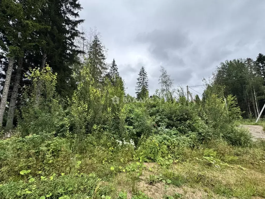 Участок в Ленинградская область, Всеволожский район, Агалатовское ... - Фото 1