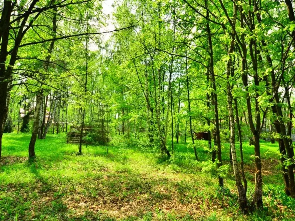 Участок в Московская область, Одинцовский городской округ, д. Бузаево ... - Фото 0