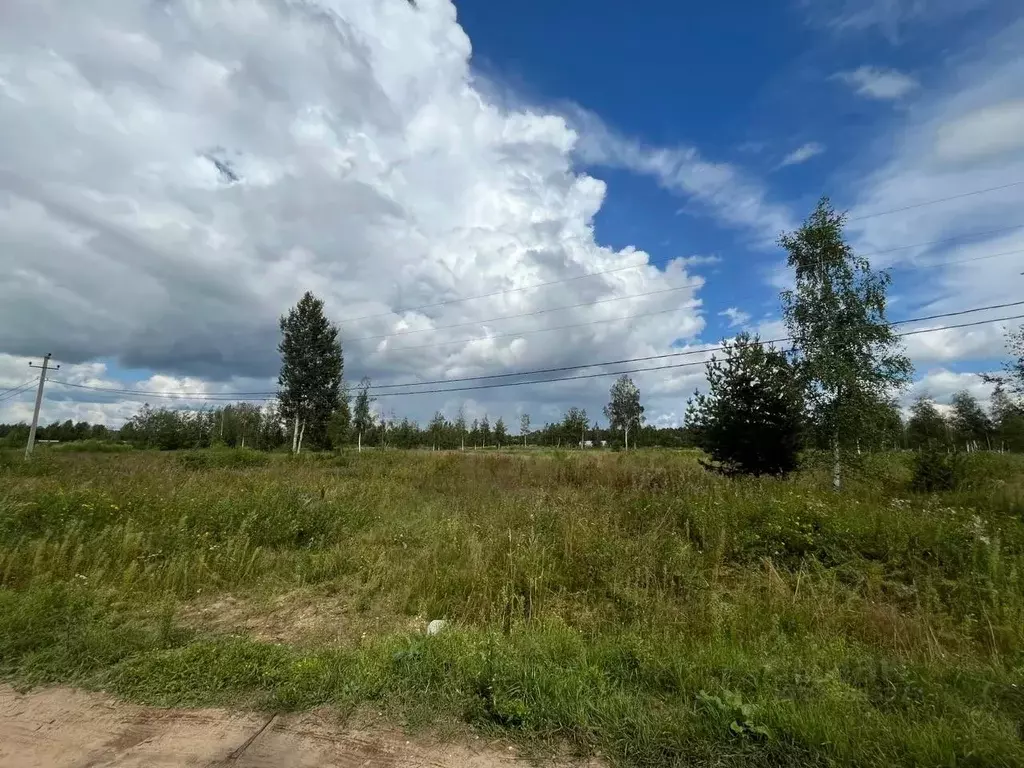 Участок в Тверская область, Калязинский муниципальный округ, д. ... - Фото 1