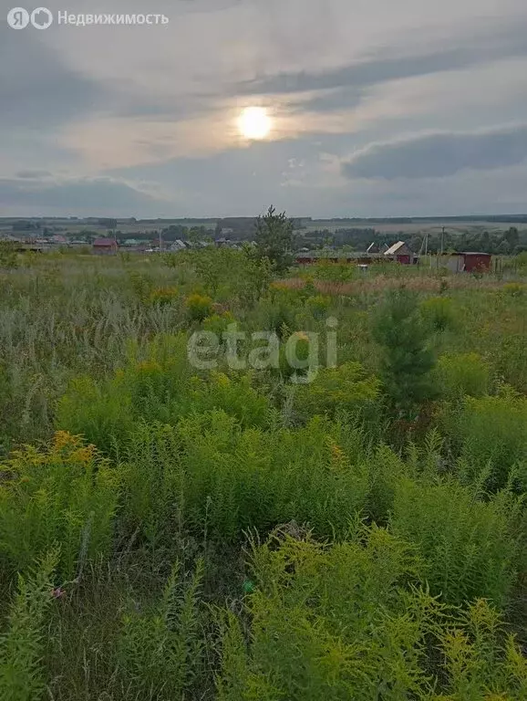 Участок в Чишминский район, Лесной сельсовет, село Алкино-2 (12 м) - Фото 1