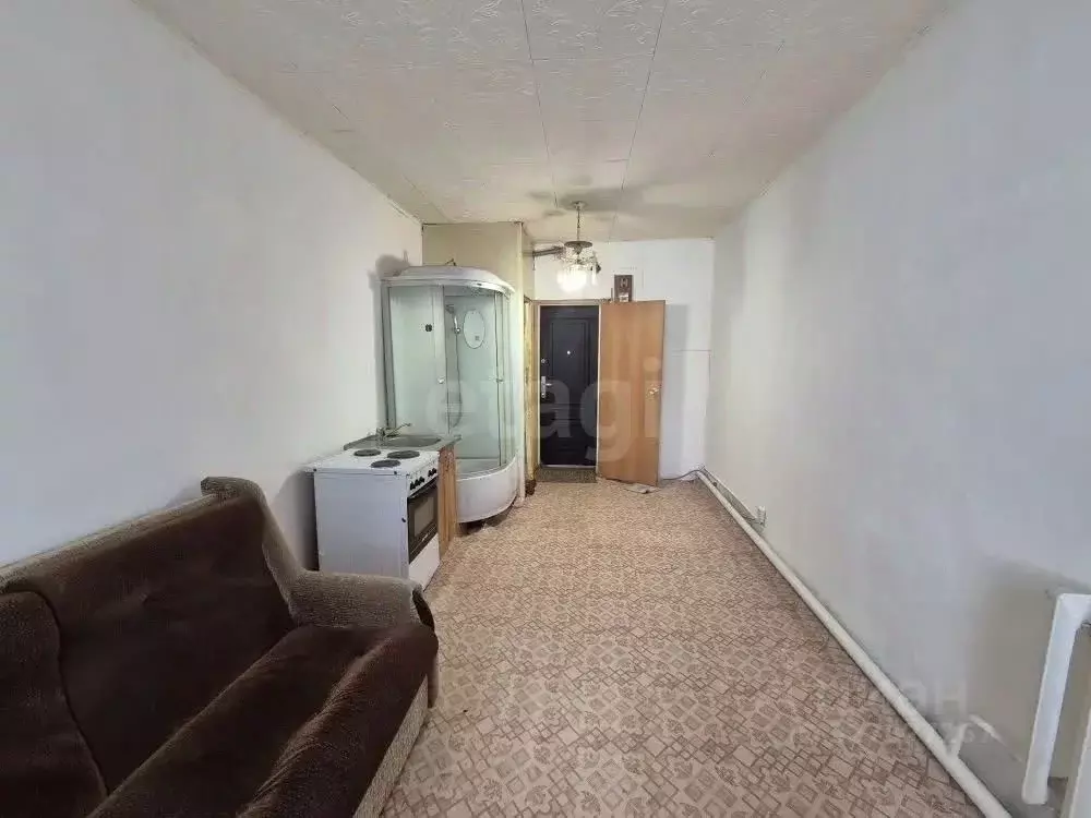 Студия Алтай, Майминский район, с. Майма ул. Энергетиков (16.0 м) - Фото 1