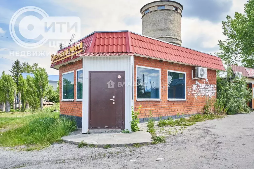 Помещение свободного назначения в Воронежская область, Нижнедевицкий ... - Фото 1