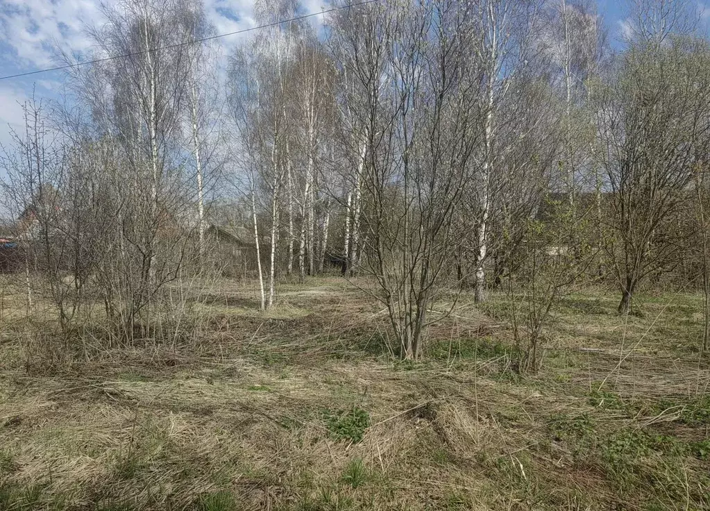 Участок в Московская область, Орехово-Зуевский городской округ, д. ... - Фото 2