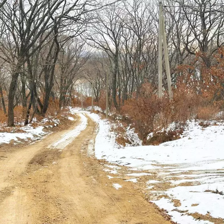 Участок в Приморский край, Находка пос. Врангель,  (54.0 сот.) - Фото 1