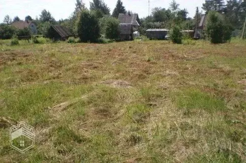 Участок в Новгородская область, Солецкий муниципальный округ, д. ... - Фото 1