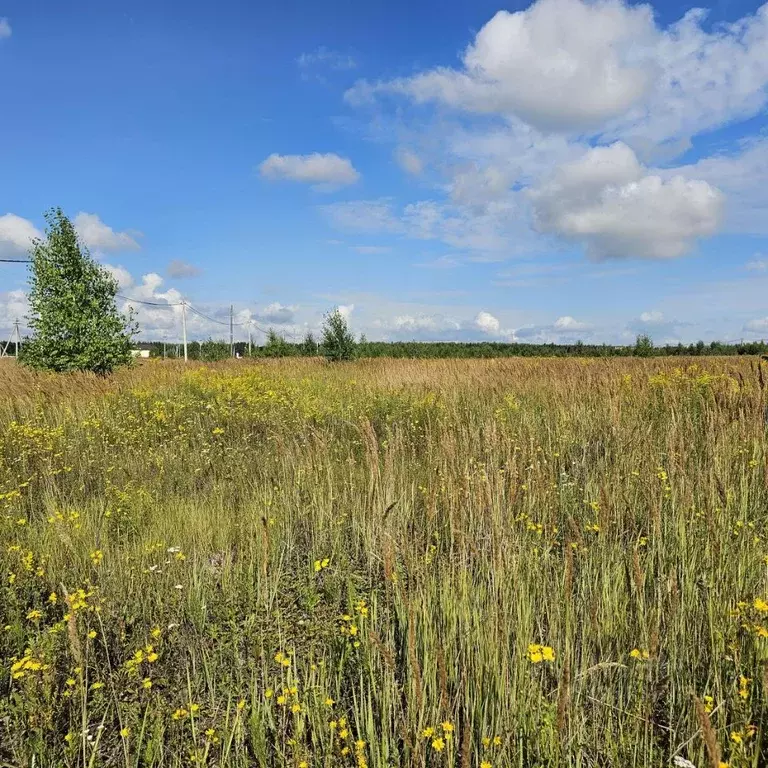 Участок в Московская область, Луховицы муниципальный округ, пос. ... - Фото 1