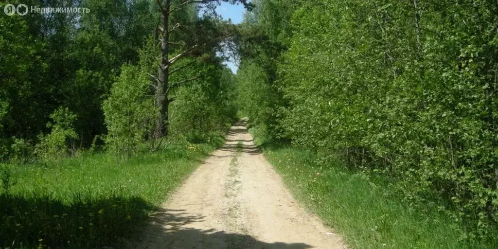 Участок в Ярославская область, Мышкинский муниципальный округ, ... - Фото 0