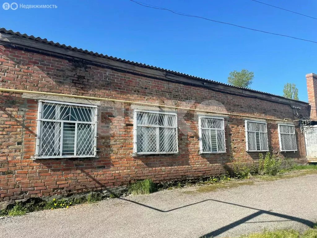 Помещение свободного назначения (267 м) - Фото 2