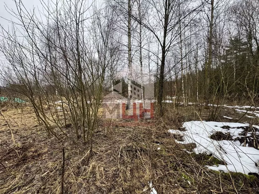 Участок в Тверская область, Конаковский муниципальный округ, Заречье ... - Фото 1