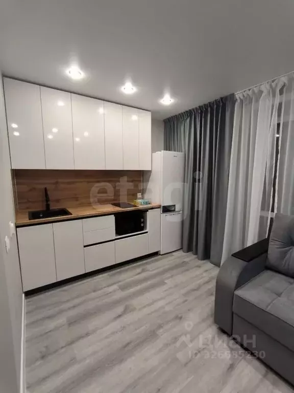 Студия Амурская область, Благовещенский район, с. Чигири ул. ... - Фото 1