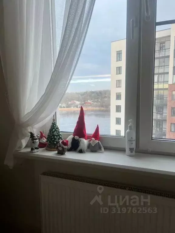 1-к кв. Ленинградская область, Выборг наб. Адмирала Чичагова, 6 (38.0 ... - Фото 2