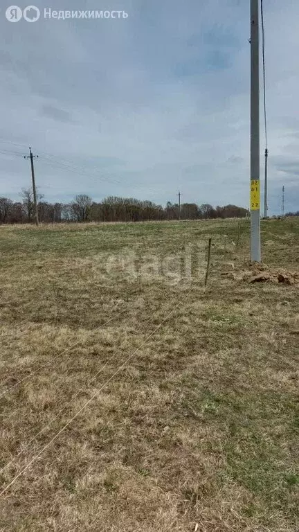 Участок в посёлок Нивенское, Советская улица (8 м) - Фото 2