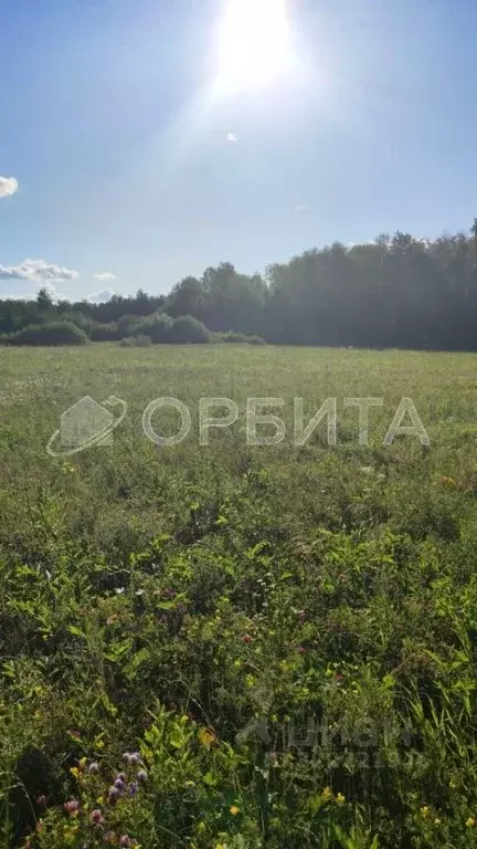 Участок в Тюменская область, Тюменский муниципальный округ, д. Елань  ... - Фото 1