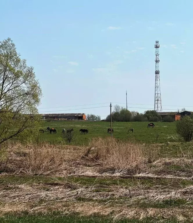 Участок в Московская область, Воскресенск городской округ, д. ... - Фото 2