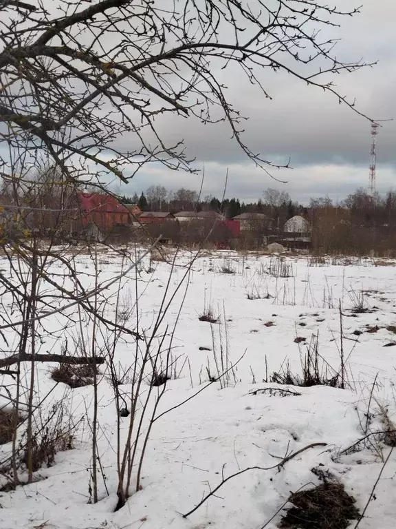 Участок в Московская область, Клин городской округ, д. Решоткино  ... - Фото 0