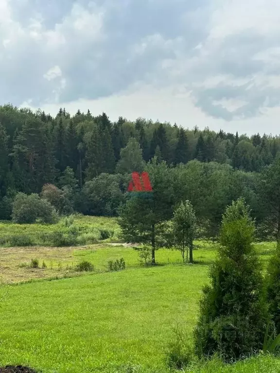 Участок в Ярославская область, Ярославский район, Кузнечихинское ... - Фото 0