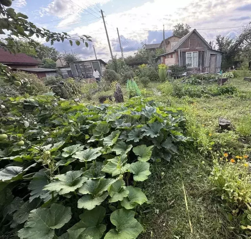 Дом в Костромская область, Кострома Юбилейный СНТ, 264 (13 м) - Фото 1