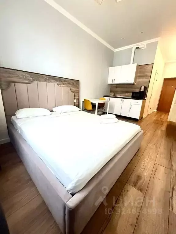 Студия Башкортостан, Уфа ул. Аксакова, 81 (31.0 м) - Фото 2