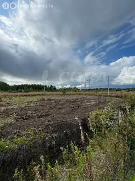 Участок в Тюменский район, село Кулига, микрорайон Кулига-2 (7.5 м) - Фото 0