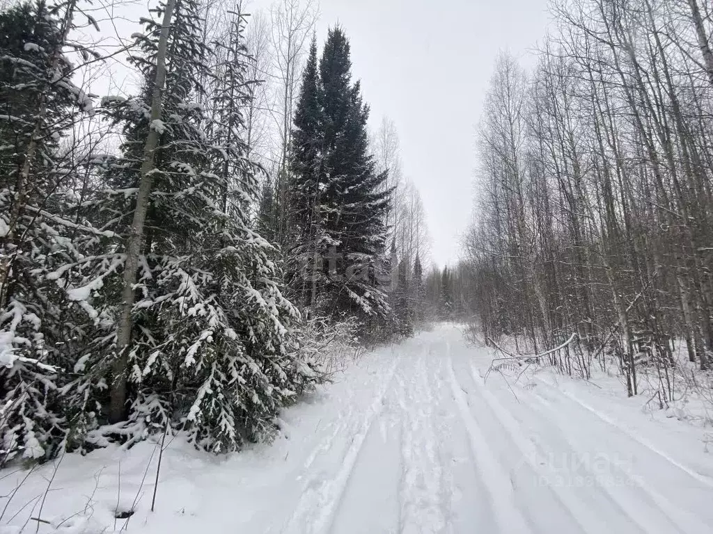 Участок в Ханты-Мансийский АО, Ханты-Мансийск  (20.1 сот.) - Фото 1