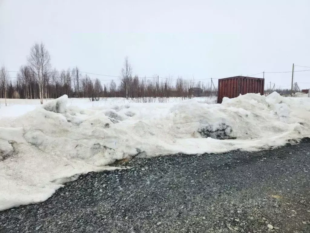 Участок в Ямало-Ненецкий АО, Салехард Радужный мкр, ул. Паши ... - Фото 0