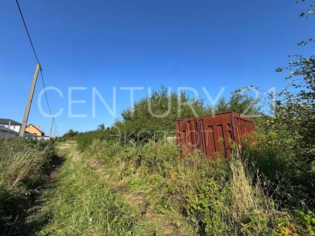 Участок в Калининградская область, Янтарный городской округ, пос. ... - Фото 1