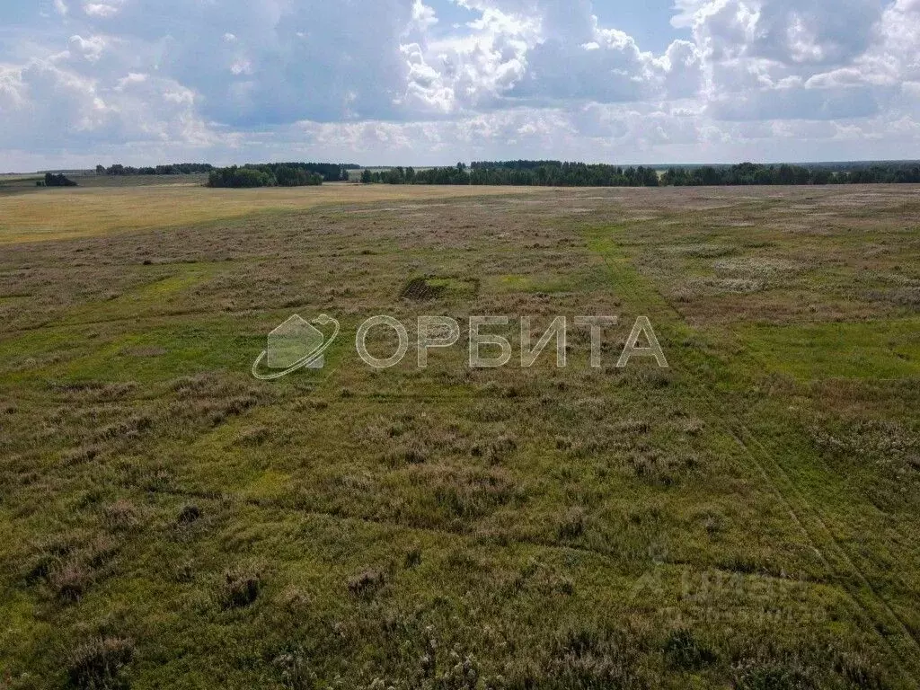 Участок в Тюменская область, Тюменский район, д. Большие Акияры  (8.62 ... - Фото 0