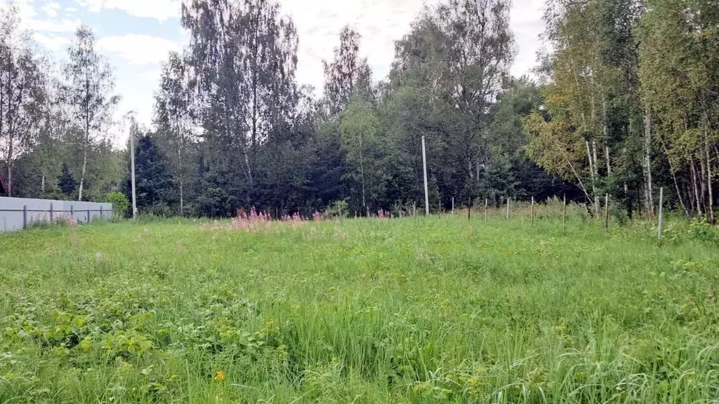 Участок в Калужская область, Таруса Рябиновая ул., 2 (10.0 сот.) - Фото 2