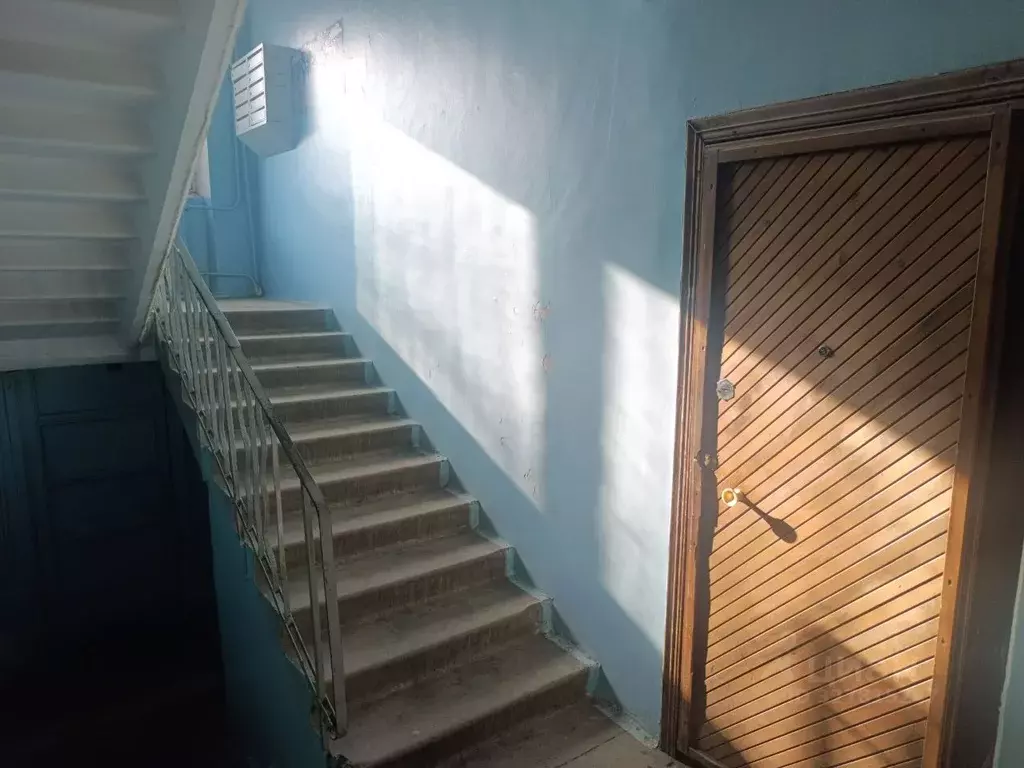 3-к кв. Санкт-Петербург пос. Парголово, ул. Первого Мая, 79 (60.0 м) - Фото 1