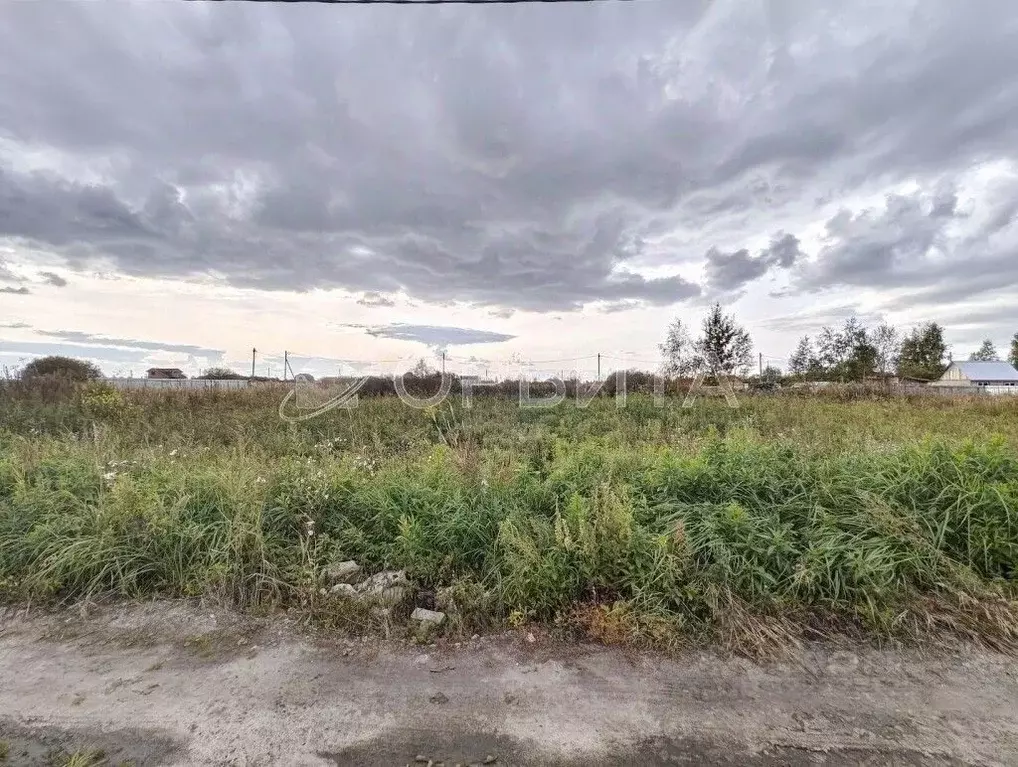 Участок в Тюменская область, Тюмень Большое Царево-1 СНТ,  (10.0 сот.) - Фото 1