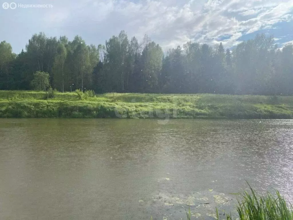Участок в Ярославская область, Рыбинский муниципальный округ, ... - Фото 1