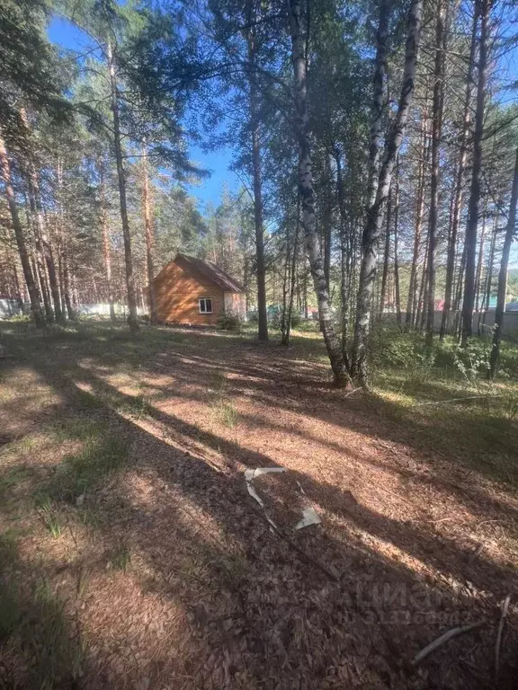 Дом в Забайкальский край, Чита пл. Ленина (60 м) - Фото 1