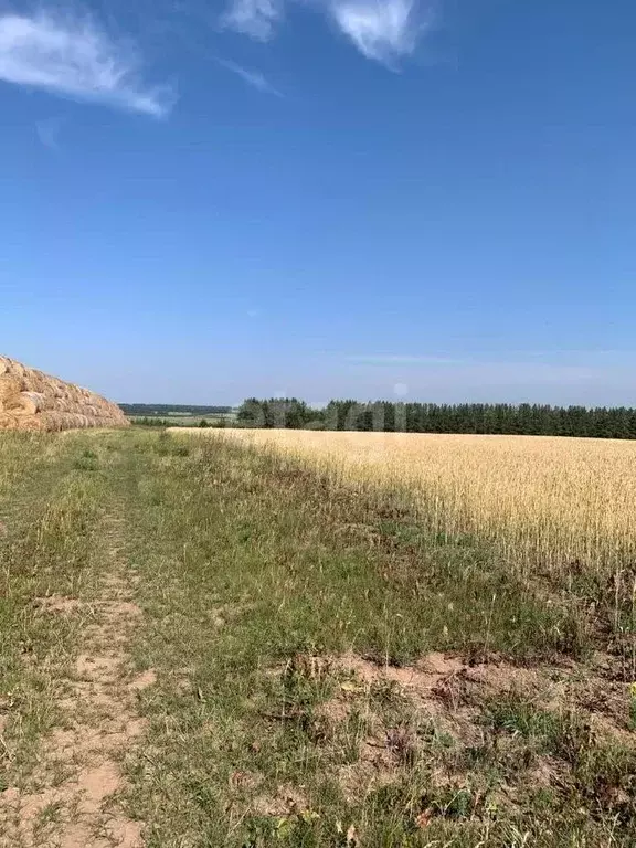 Участок в Удмуртия, Каракулинский район, д. Ендовка  (6124.0 сот.) - Фото 1