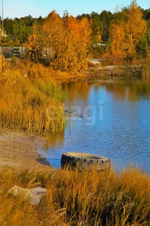 Участок в Ханты-Мансийский АО, Сургутского муниципального района тер., ... - Фото 1
