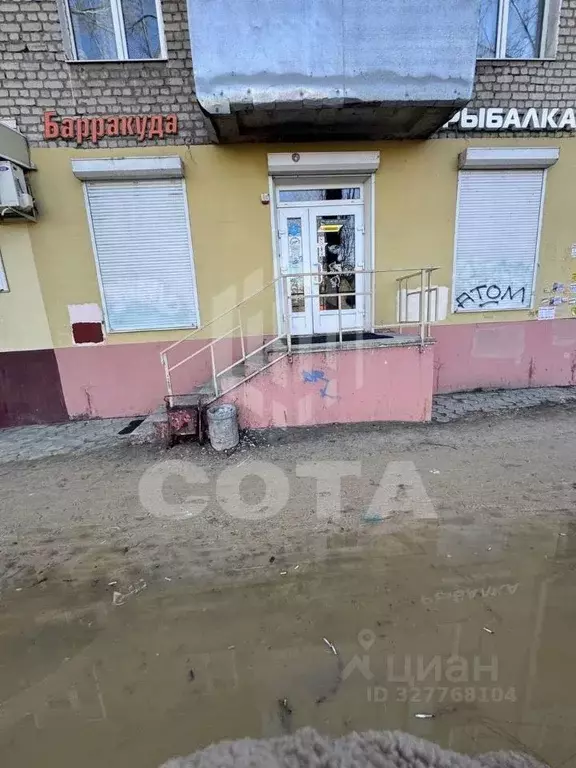 Торговая площадь в Воронежская область, Воронеж Ленинский просп., 26/1 ... - Фото 1