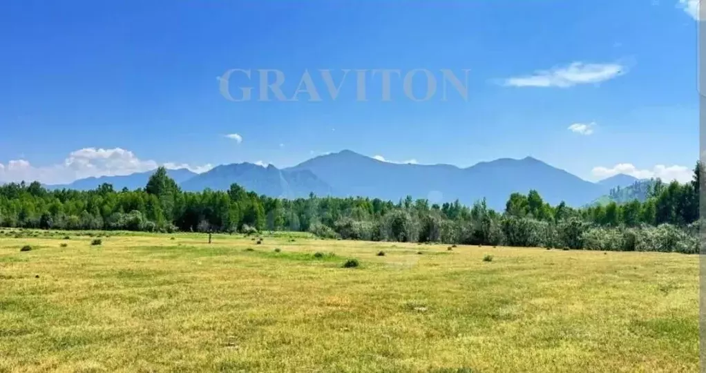 Участок в Алтай, Усть-Коксинский район, с. Горбуново  (20.0 сот.) - Фото 1