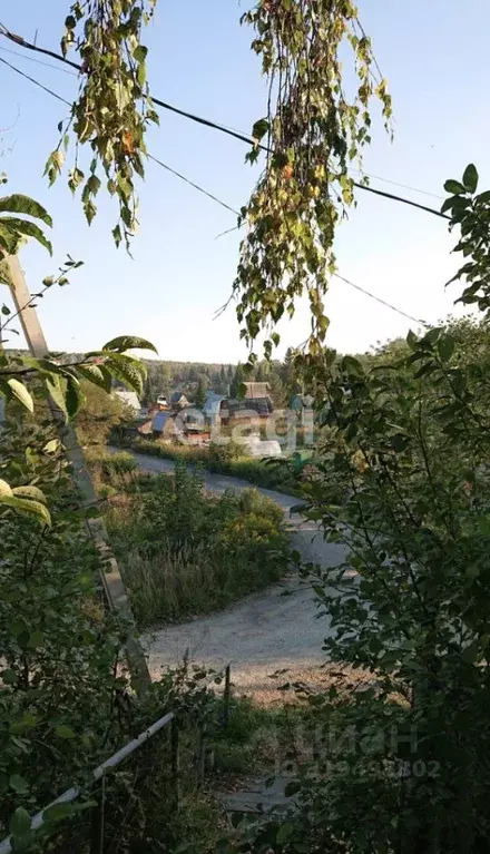 Участок в Новосибирская область, Новосибирский район, Плотниковский ... - Фото 1