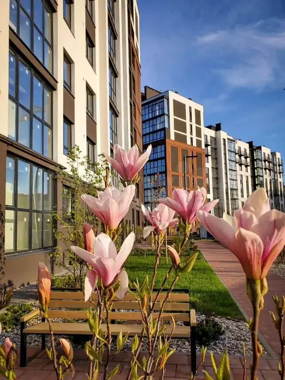 1-к. квартира, 42,1 м, 2/9 эт. - Фото 1