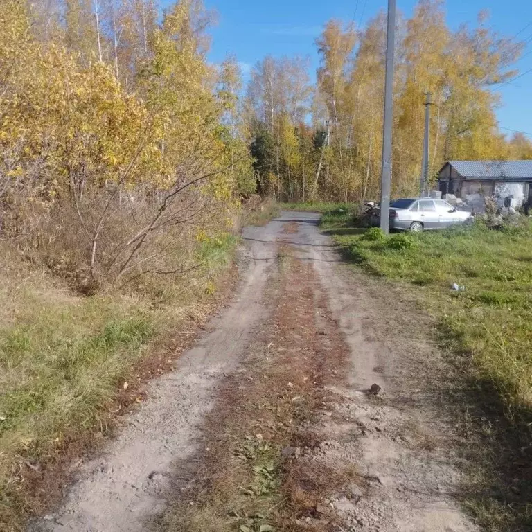 Участок в Новосибирская область, Новосибирский район, с. Боровое ул. ... - Фото 0