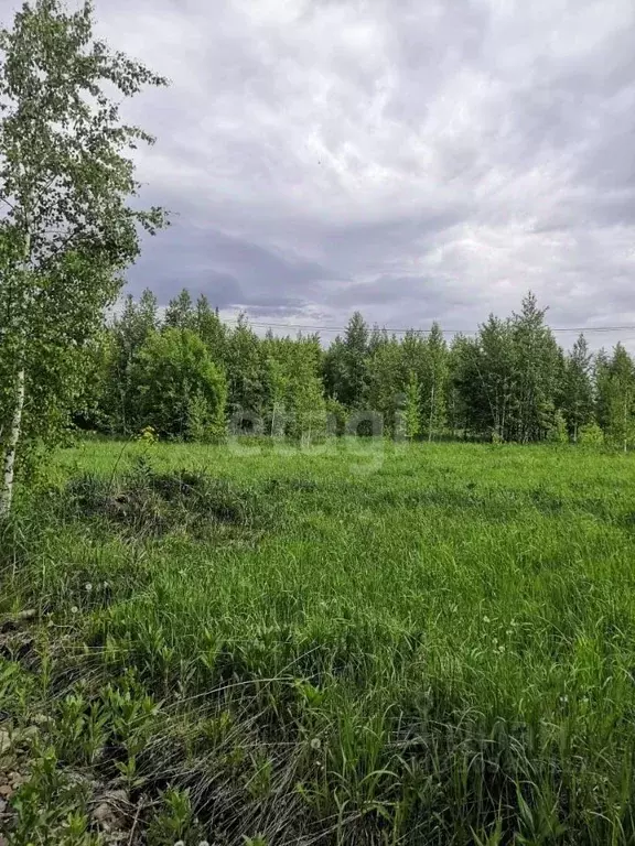 Участок в Кемеровская область, Кемеровский муниципальный округ, с. ... - Фото 0