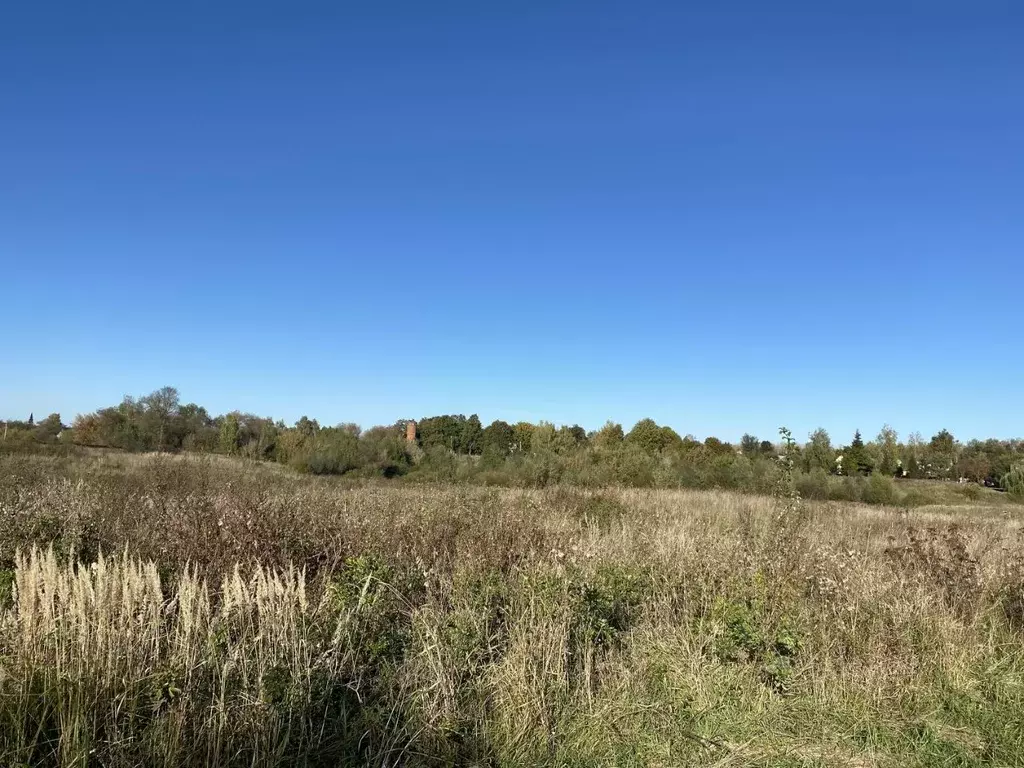 Участок в Московская область, Луховицы муниципальный округ, д. ... - Фото 2